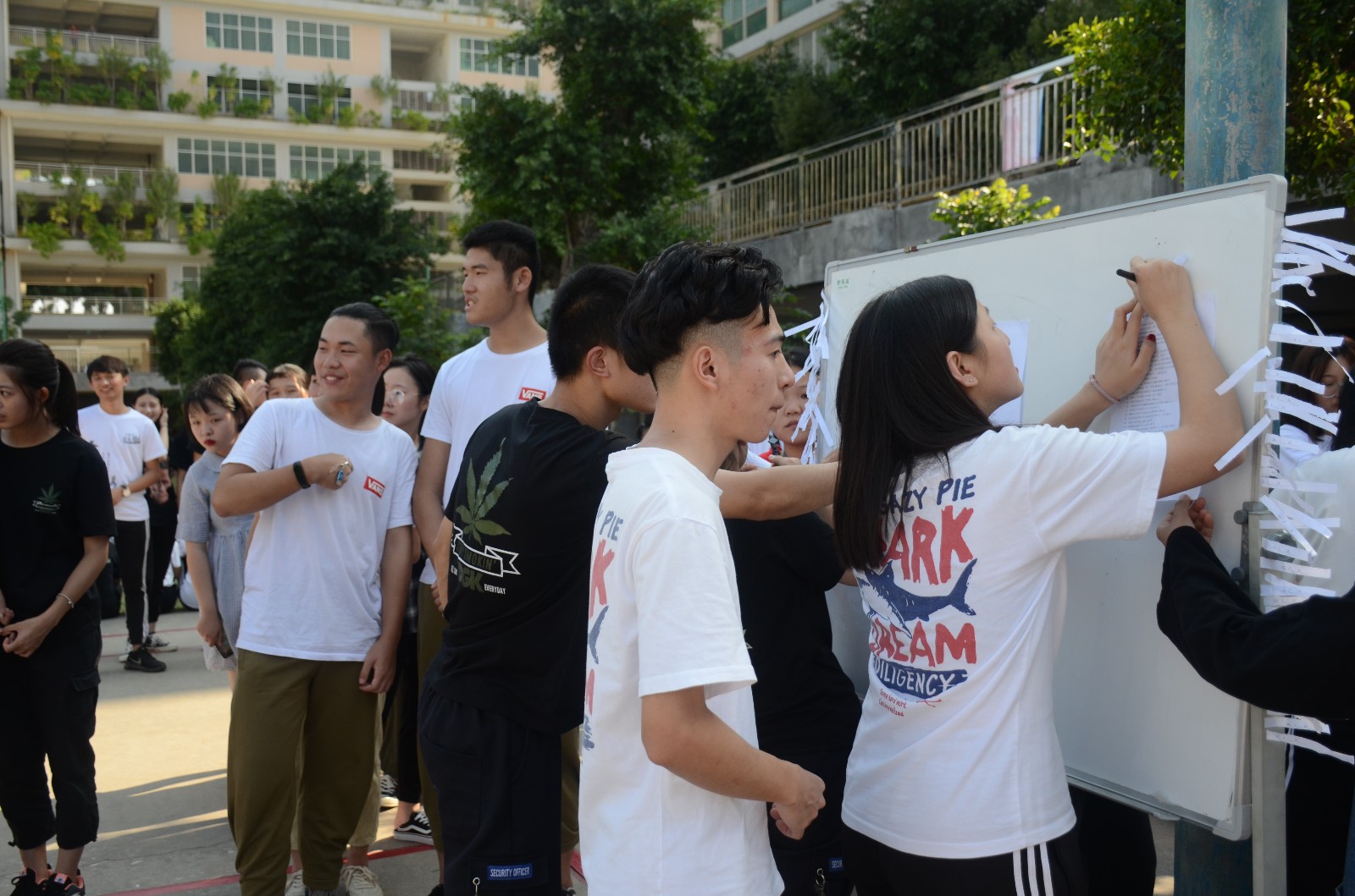 AA6_6307.JPG AA6_6307.JPG